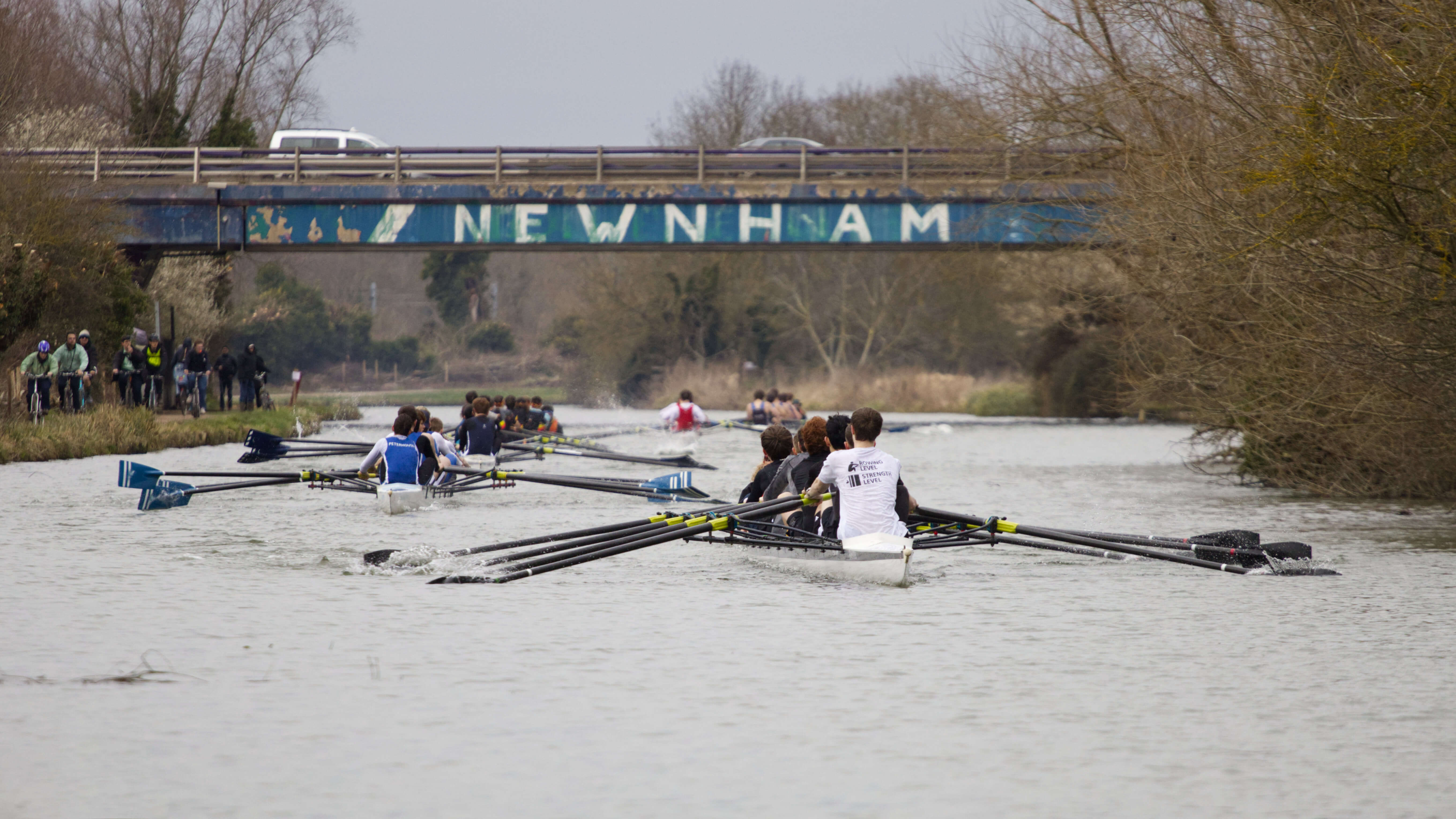 Rowing crews racing under a bridge